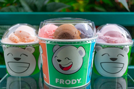 Featured image of post Evolución de la industria del helado hecho en México