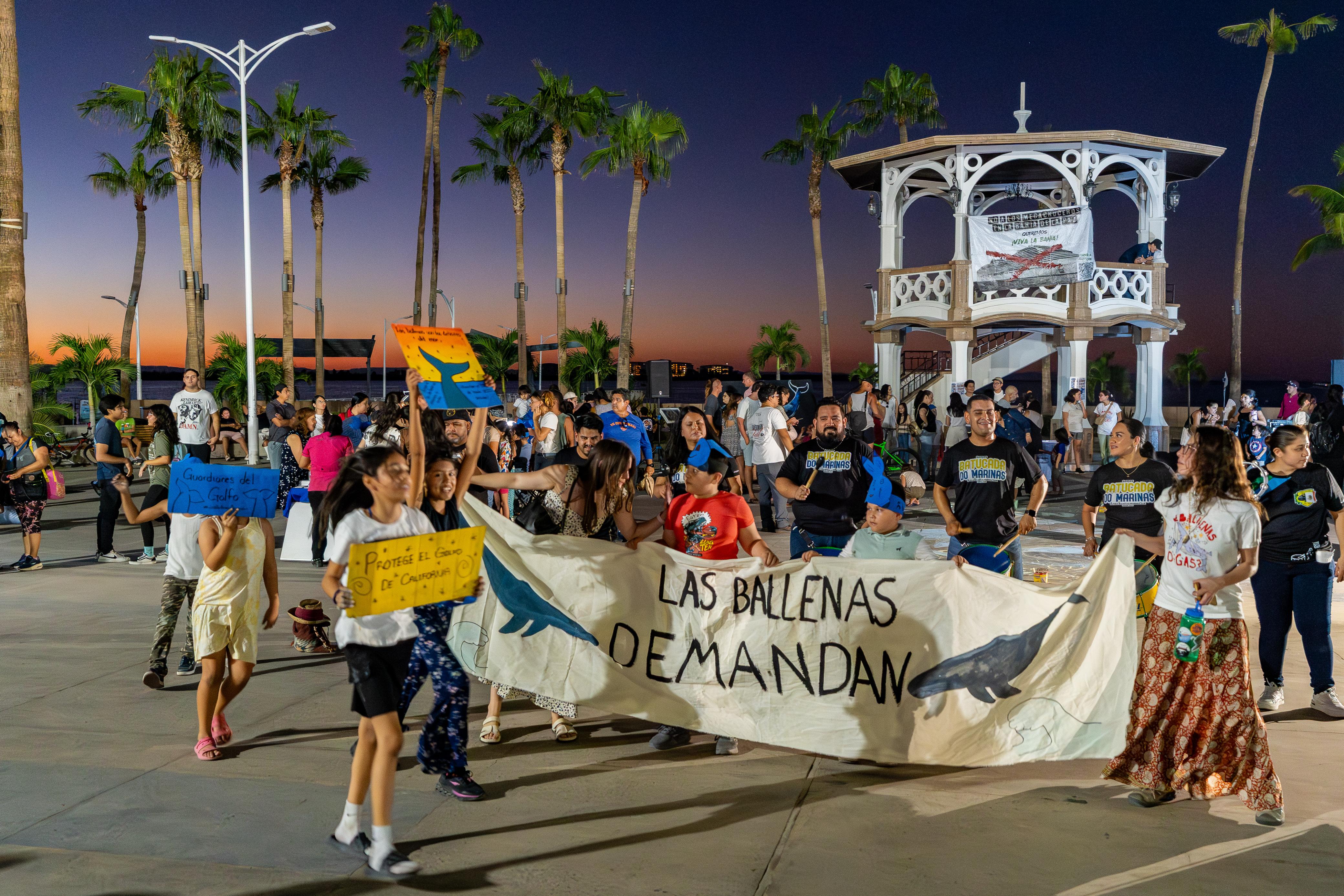 Featured image of post Las ballenas demandan justicia: inicia batalla legal por el Golfo de California