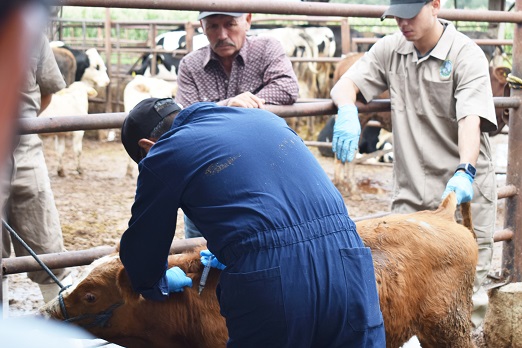 Featured image of post Senasica capacita a más de 70 ganaderas y ganaderos en el Bajío para combatir el gusano barrenador del ganado