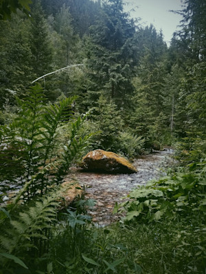 2019-06-15 05.51.36 1