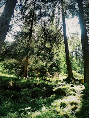 2019-06-16 05.19.37 1