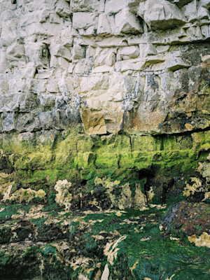 Margate cliff wall (3:4)