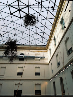 Tabakalera roof