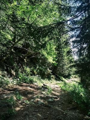 2019-06-16 05.19.19 1