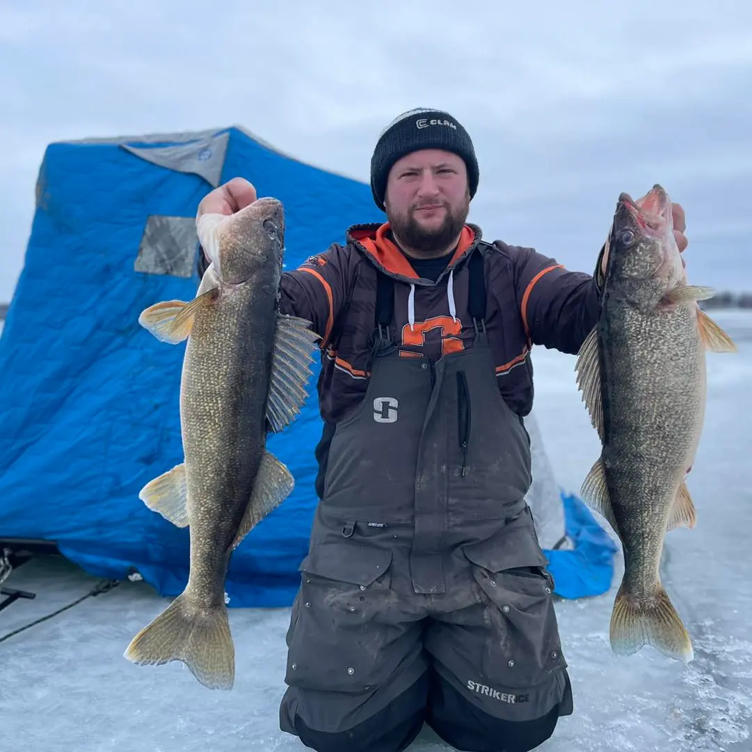 An angler poses with two trophy-sized walleye. 