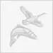 photo of mourning doves