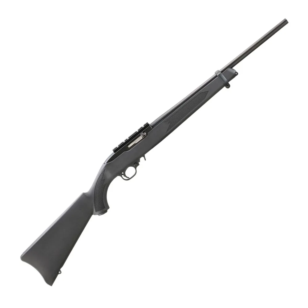 Ruger 10 22