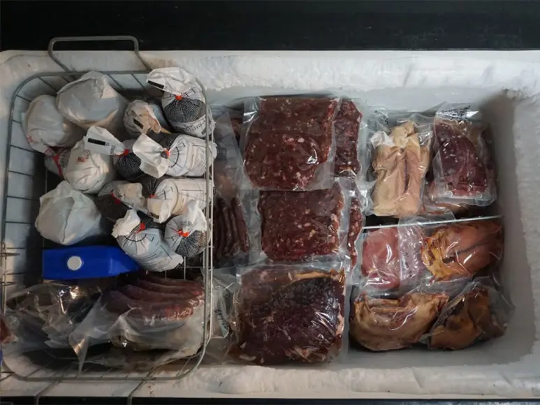 Venison in freezer.