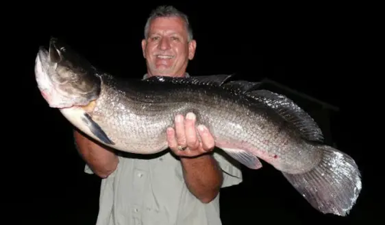 httpswww-fieldandstream-comsitesfieldandstream-comfilesimport2014record-bowfin-jpg