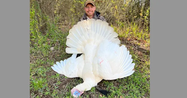 hunter poses with all-white leucitic wild turkey