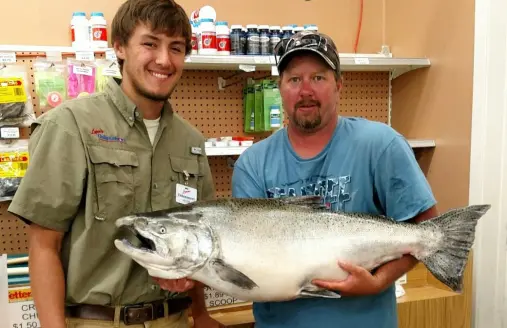 record chinook, 