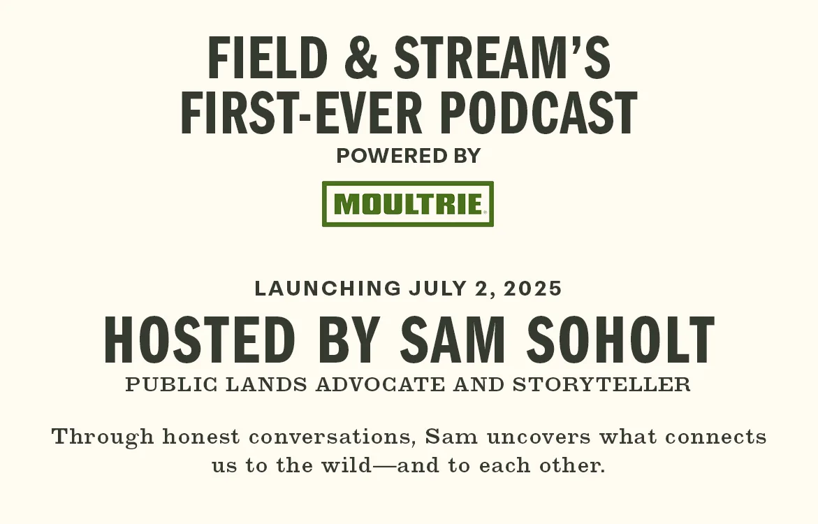 podcast copy image