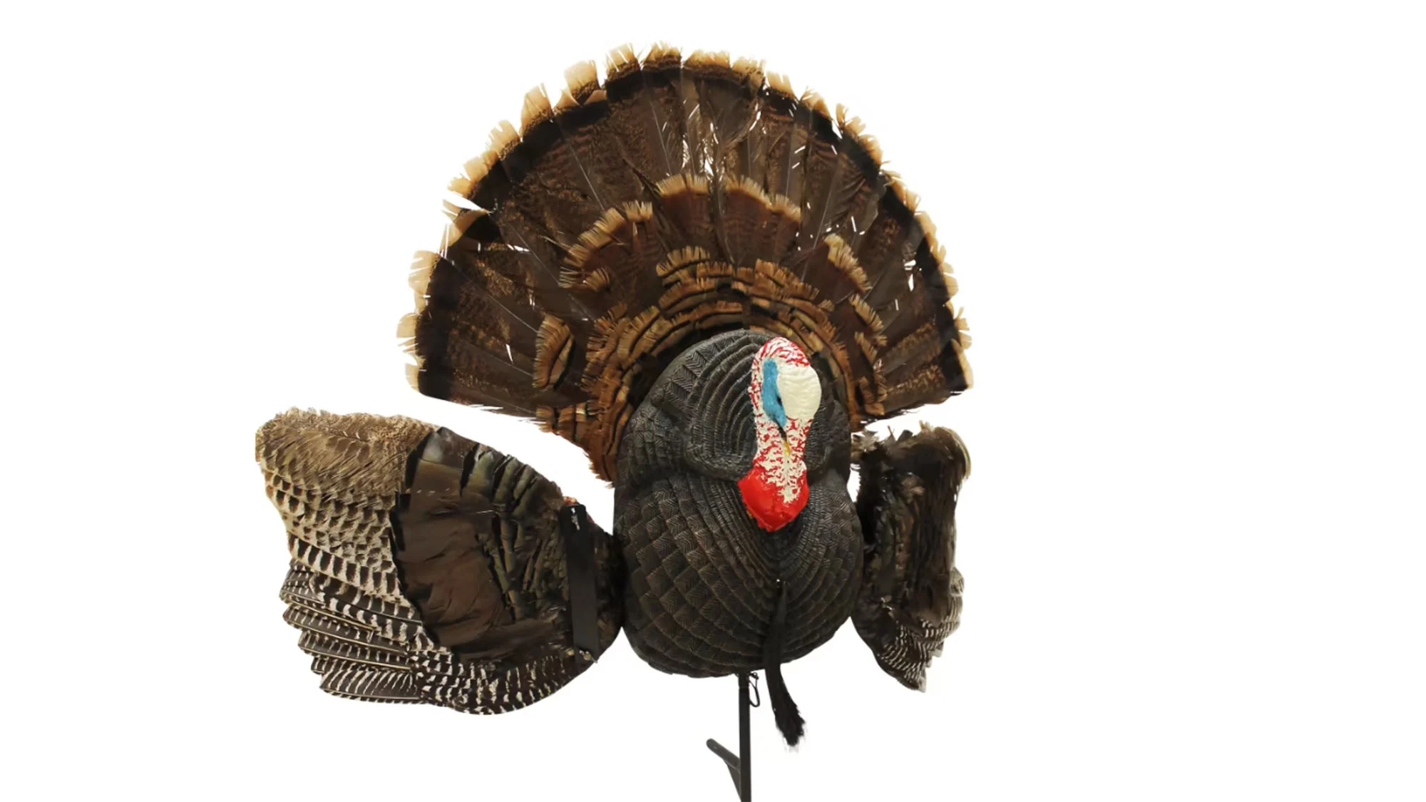 Mojo Scoot and Shoot gobbler decoy on white background