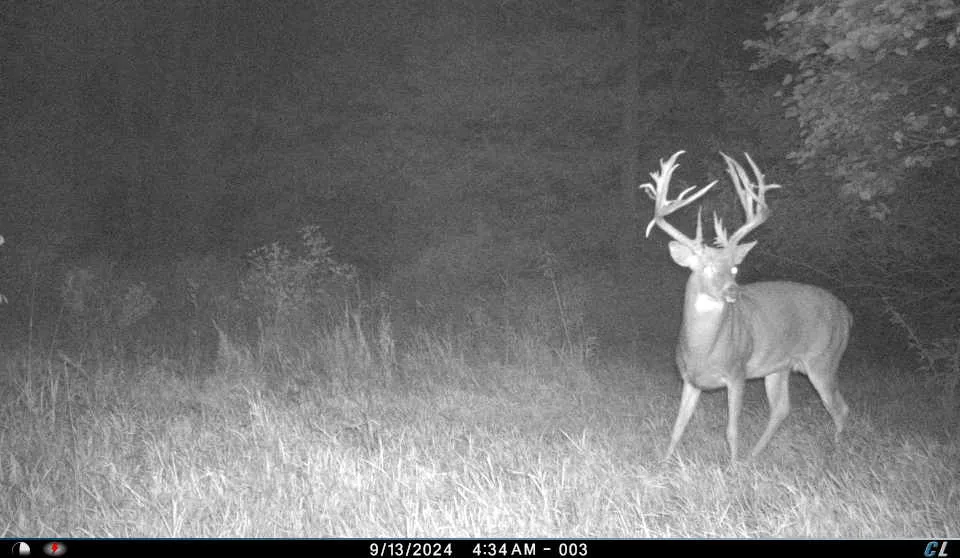 A trail-camera photo of a huge nontypical Kansas buck. 