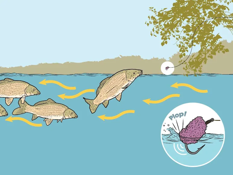 berry patch lure carp fishing