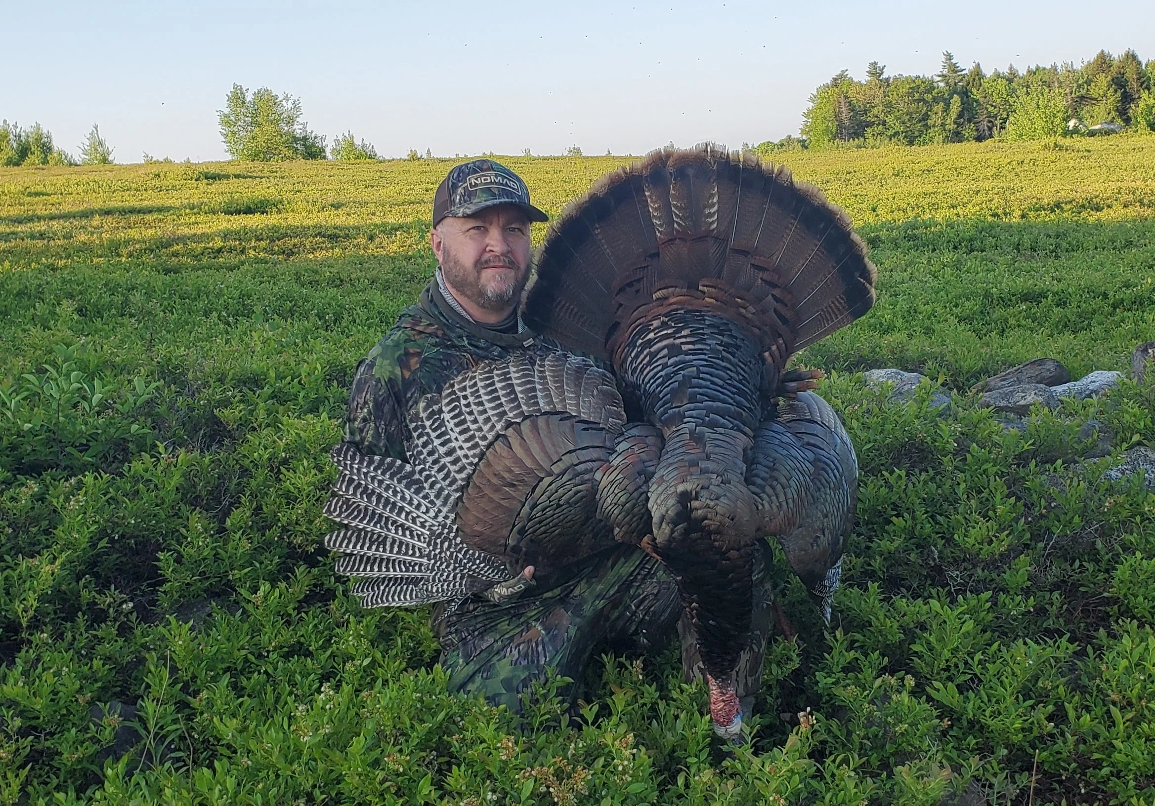 Hunter sitting in an open green field holding a tom turkey.