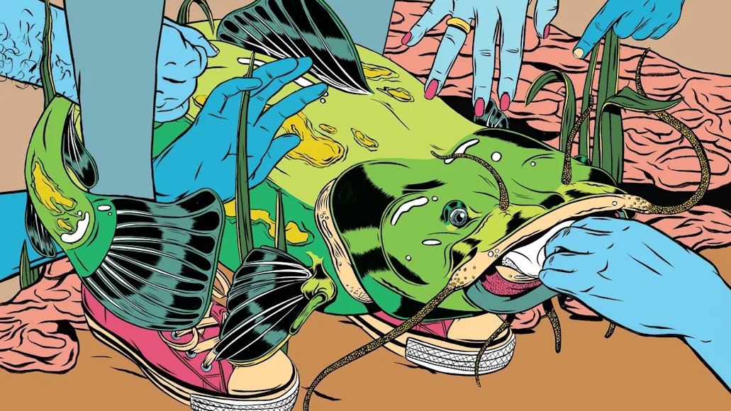 illustration of catfish being grabbed
