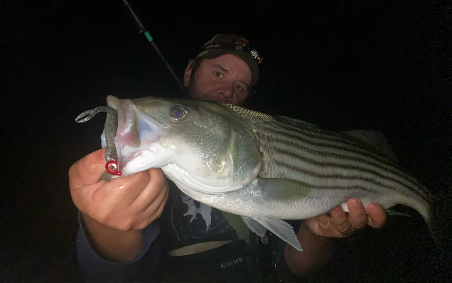 Fisherman with a striped bass in summer