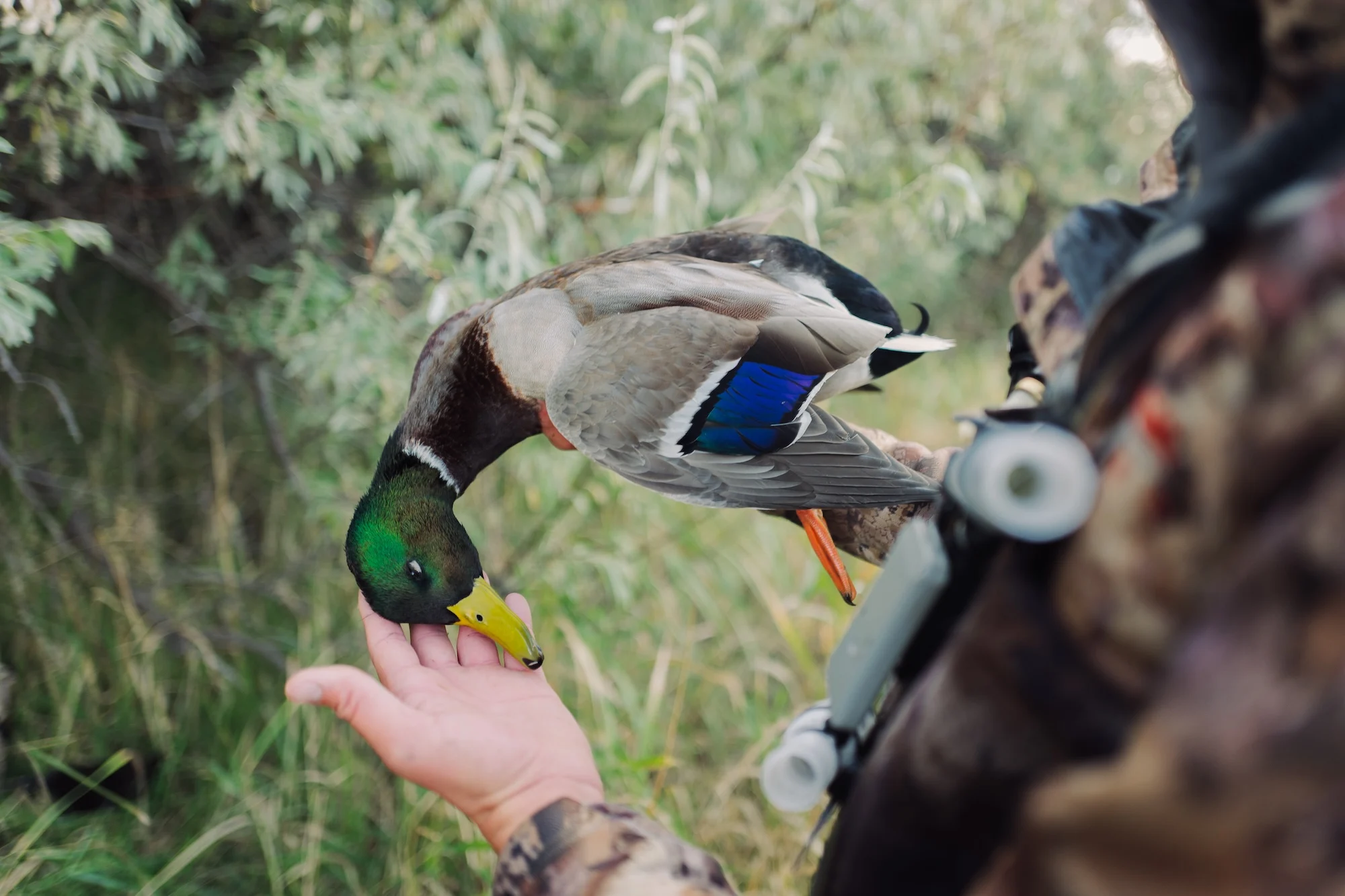 10.09.2025 Field & Steam Hunt - Bighorn-5