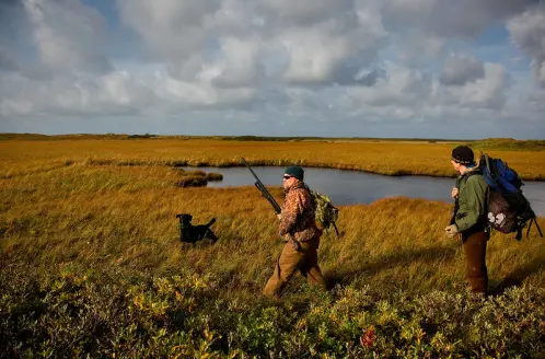 Two hunters and their dog walk the edge of a marsh.