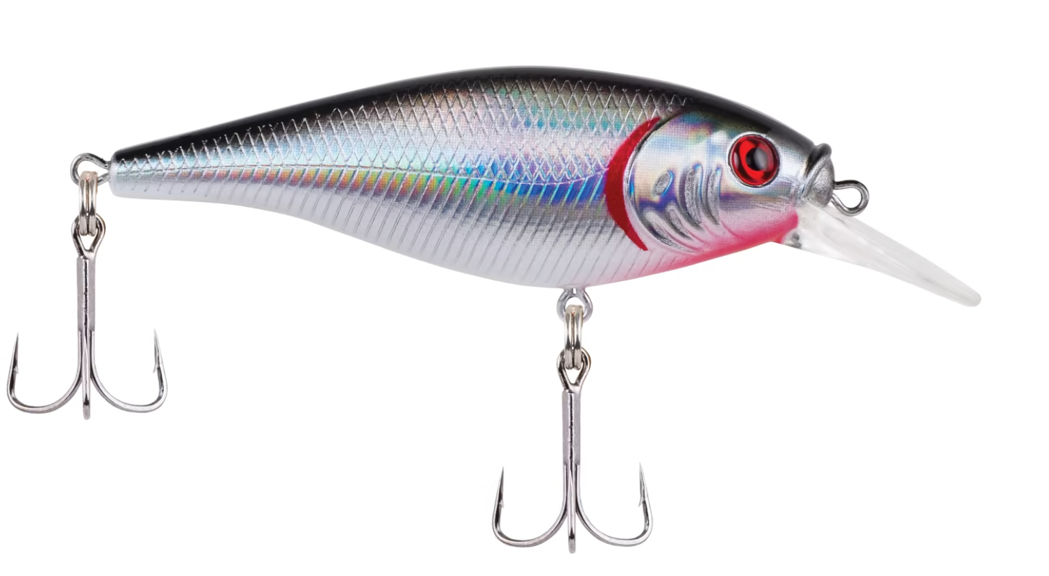 photo of shad lure 