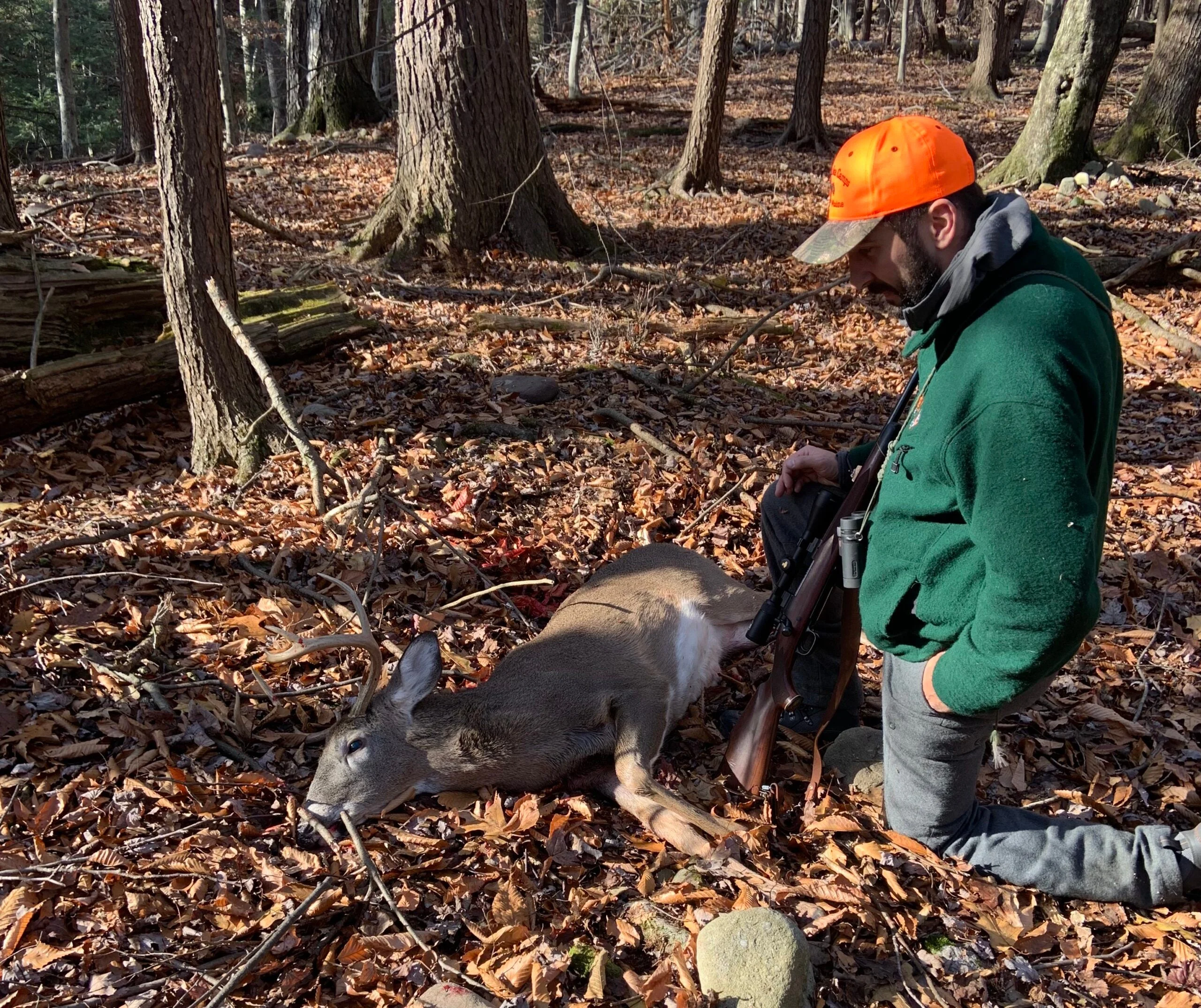 A hunter in a green jacket and orange hat kneels next to a harvested whitetail buck 