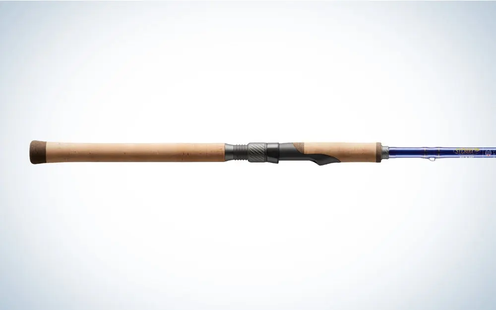 Best Drop Shot Rods