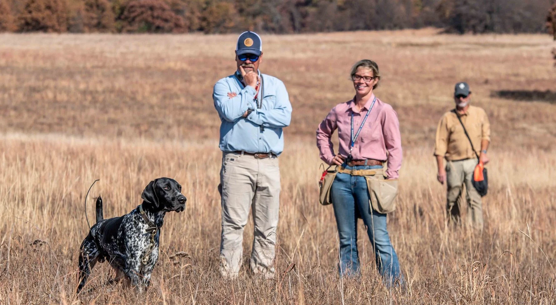 Three dog trainers watch a German shorthair pointer on point in a tan field. 