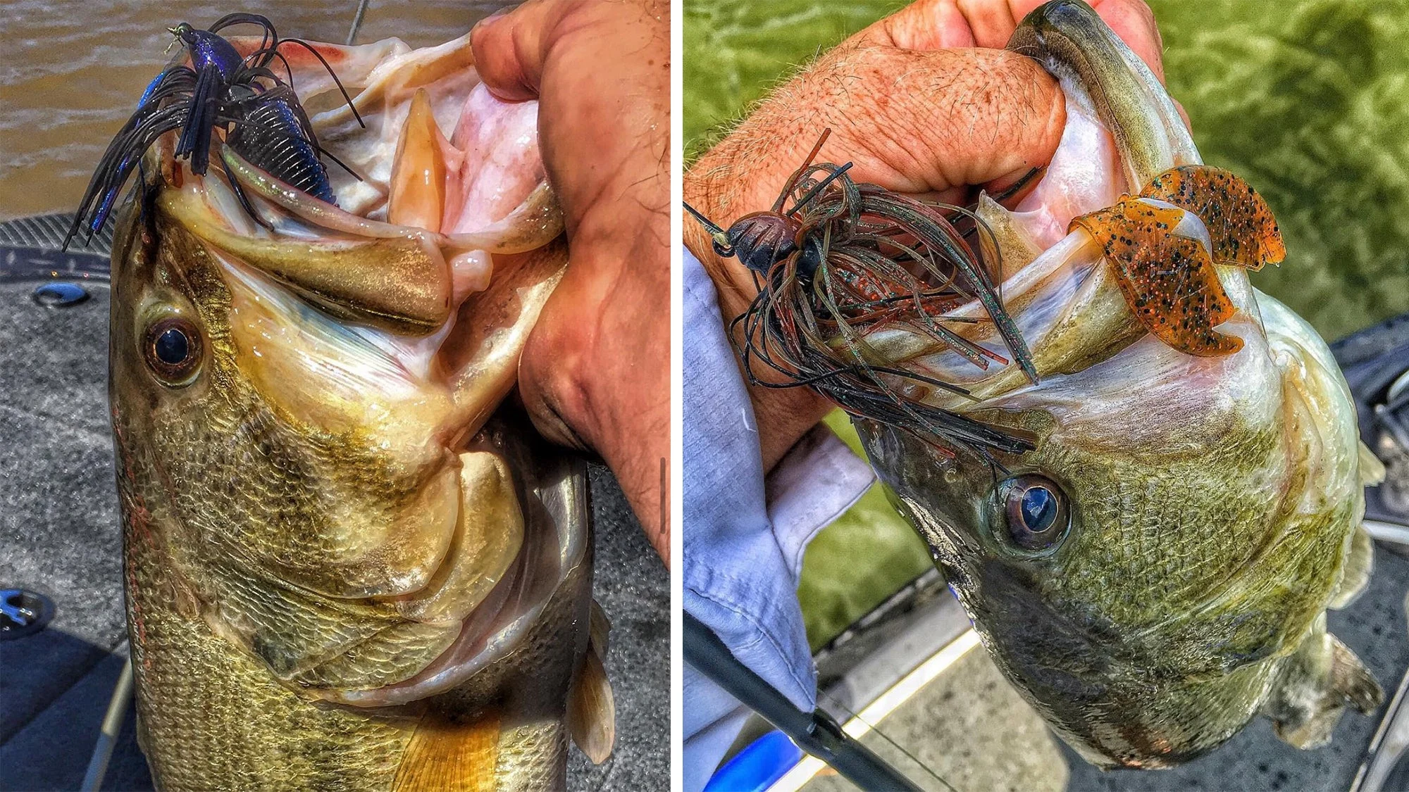 two photos of bass taken on jigs