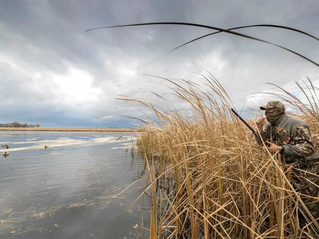 a hunter calling ducks by a puddle