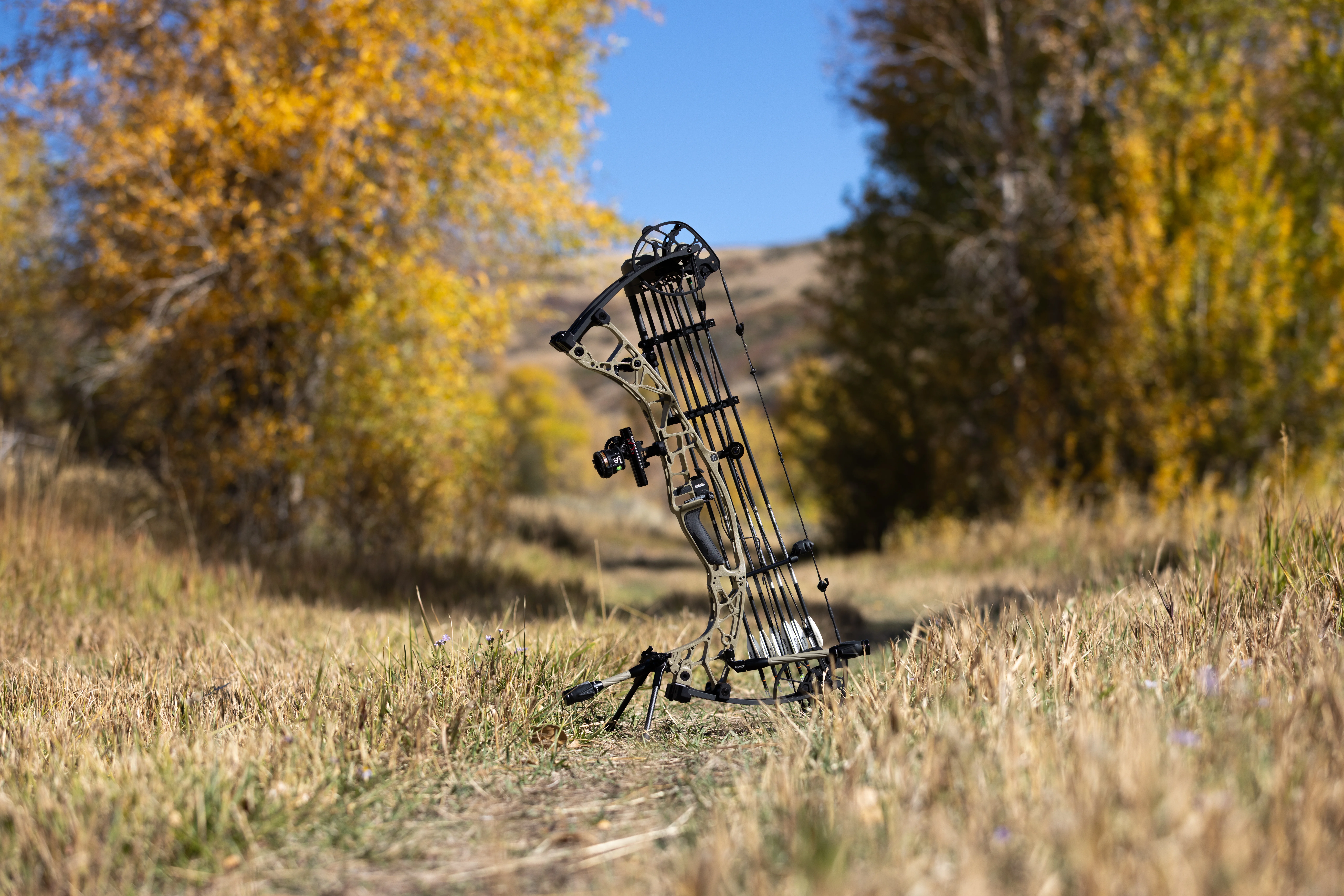 Hoyt Alpha X-3 compound bow standing in a field with trees in background.