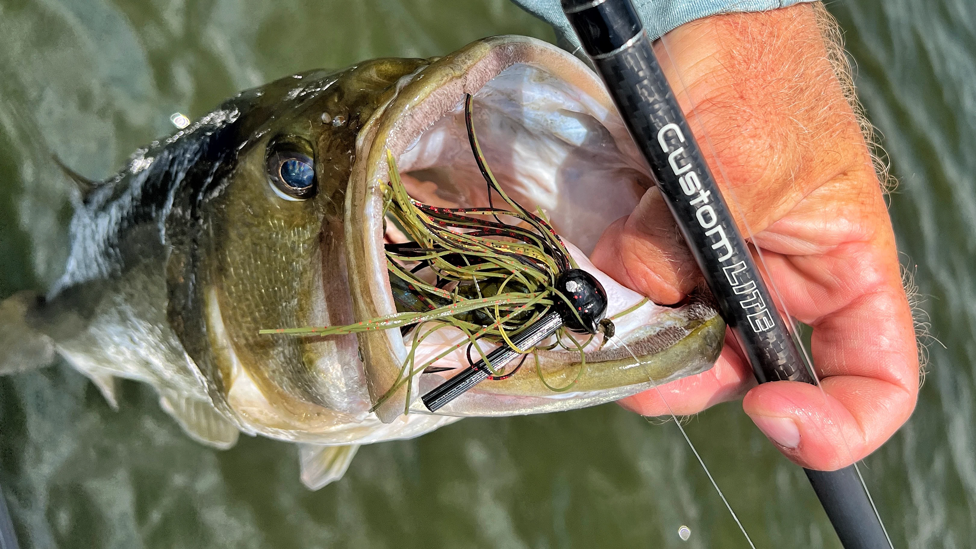 Angler holds up largemouth bass with jig in mouth next to rod