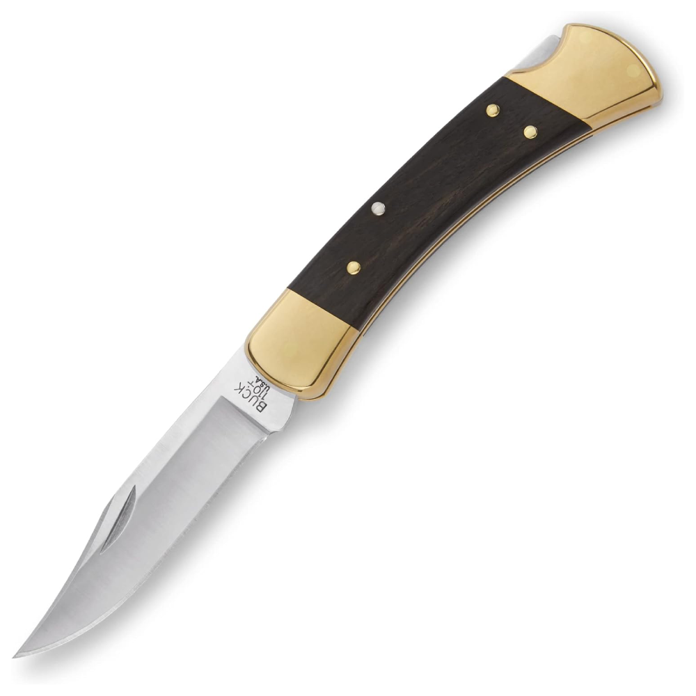 Buck 110 Folding Hunter Knife