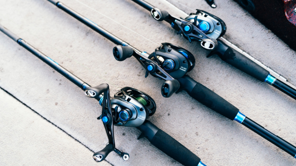 Shimano Baitcasting Reels