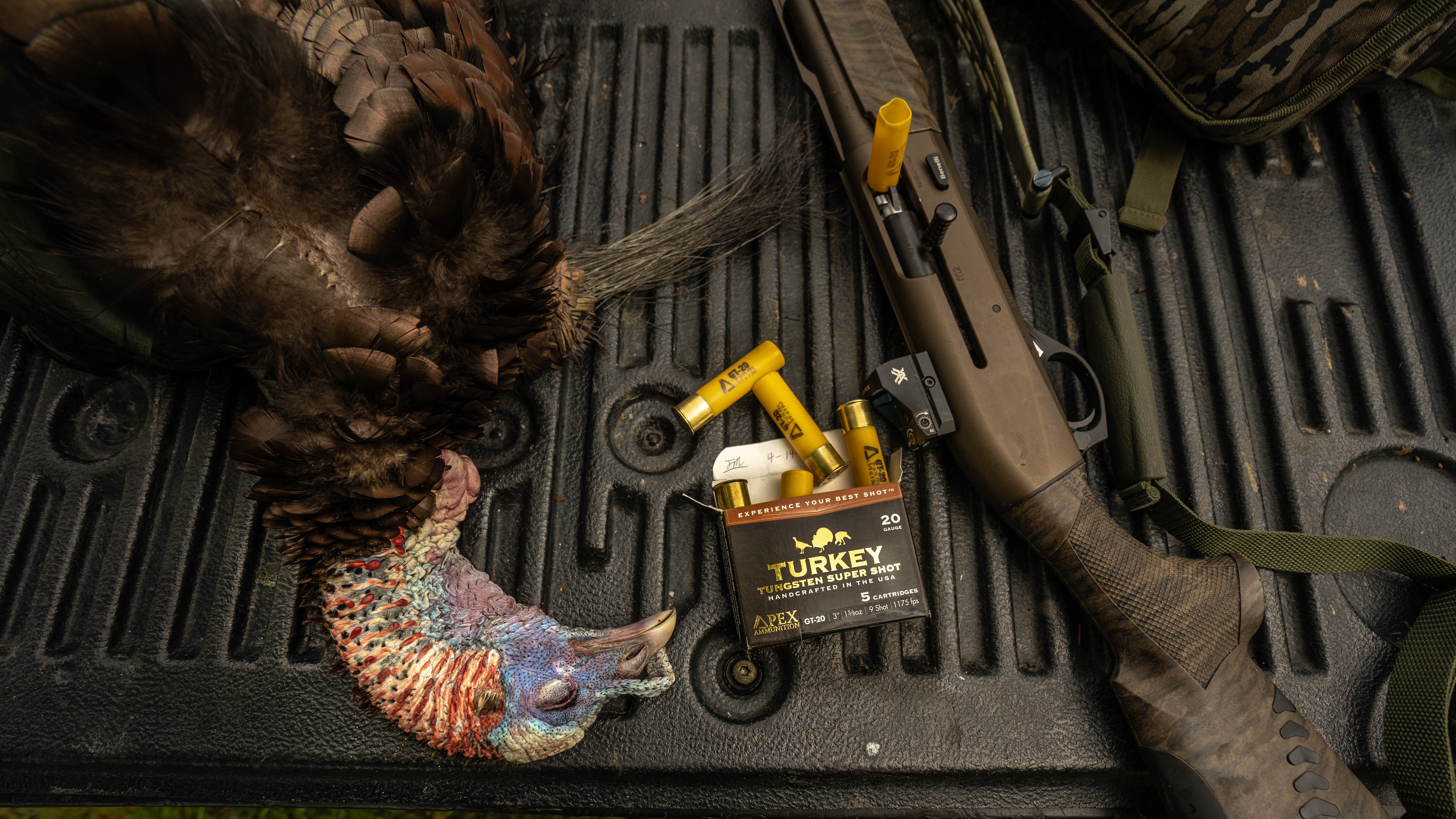 Turkey on tailgate next to shotshells and shotgun