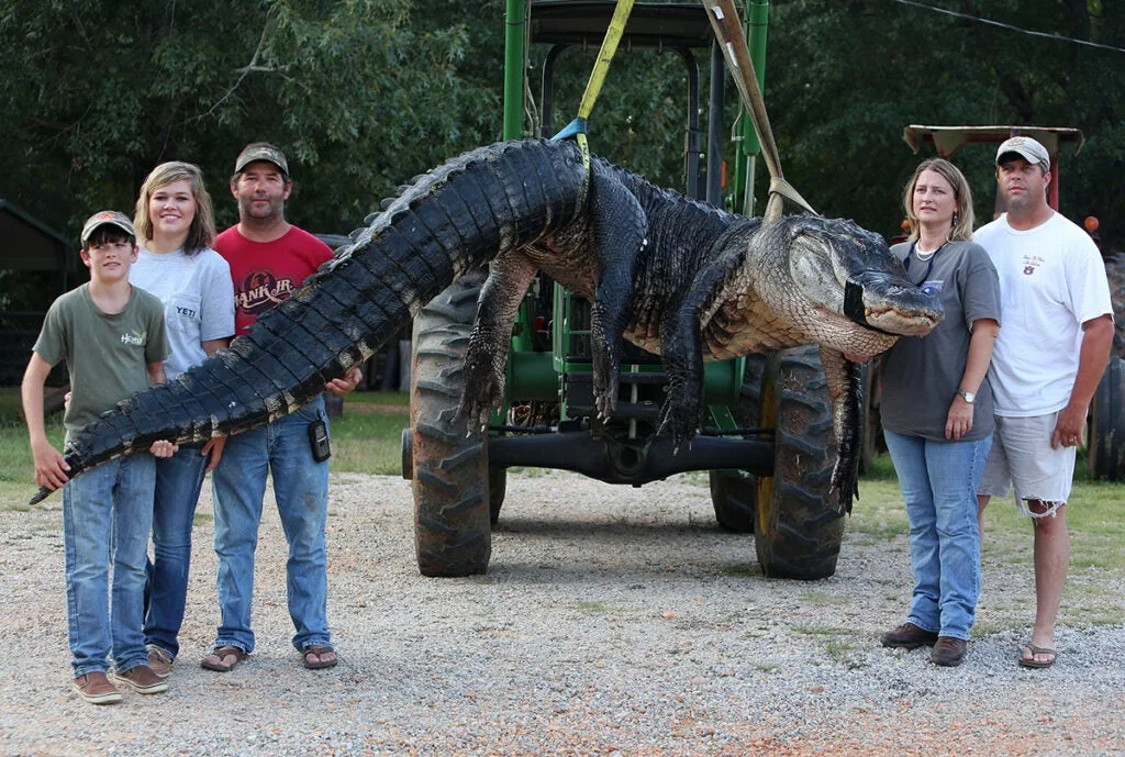 record gator