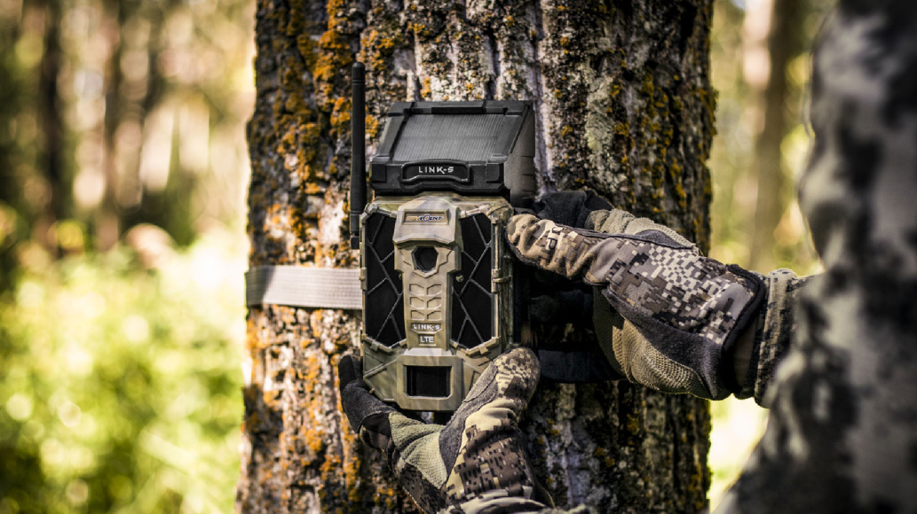 SpyPoint Link-S Cellular Trail Camera on tree