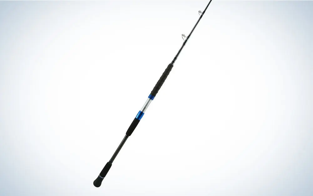 Best Jigging Rods