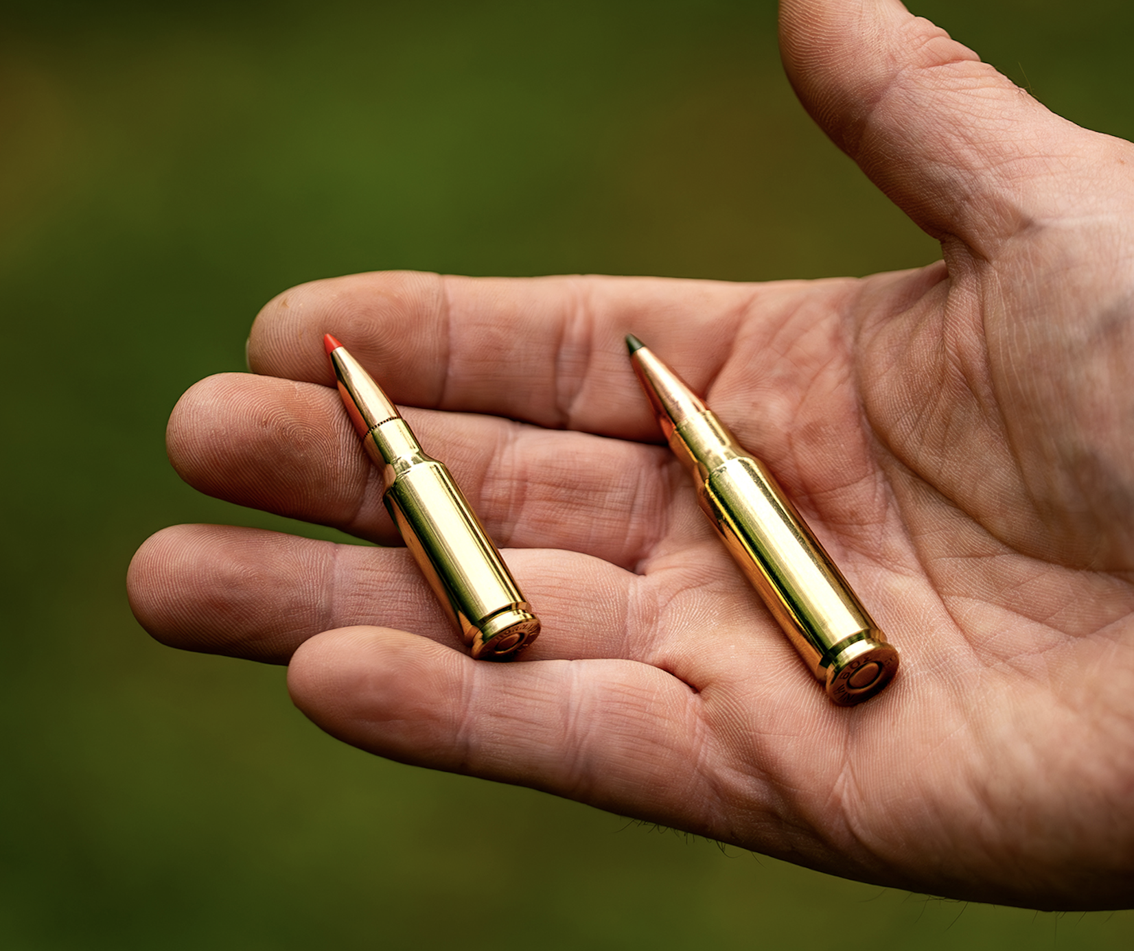 6.5 Grendel vs 308 Winchester, one of each cartridges in a shooter's hand.