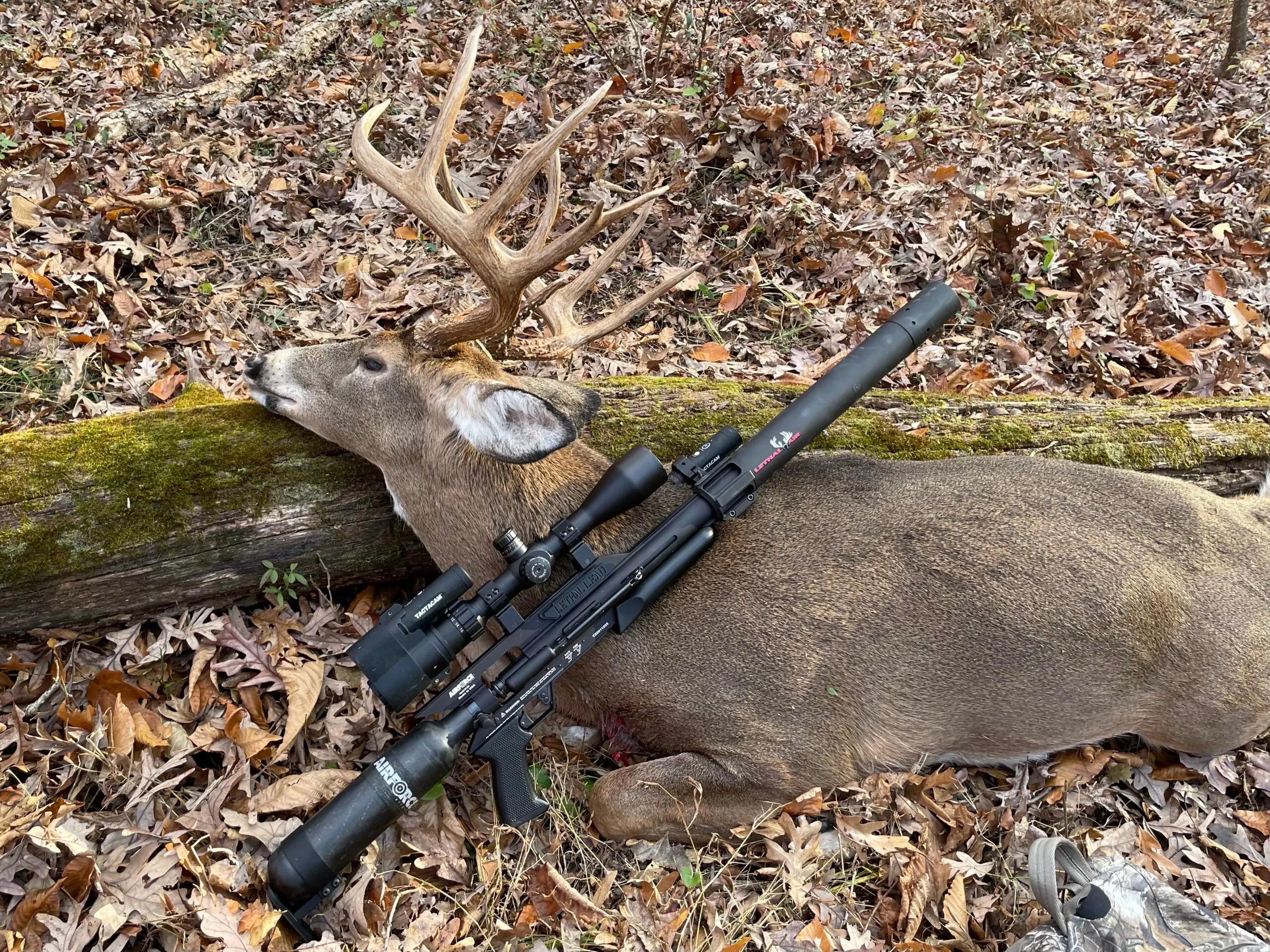 A whitetail buck taken with an airgun