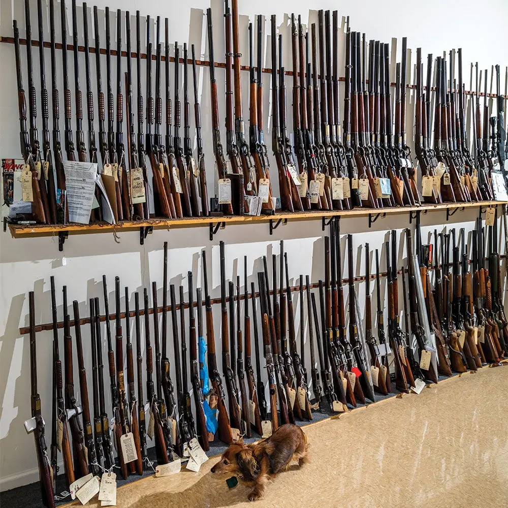 two shelves holding dozens of rifles and shotguns