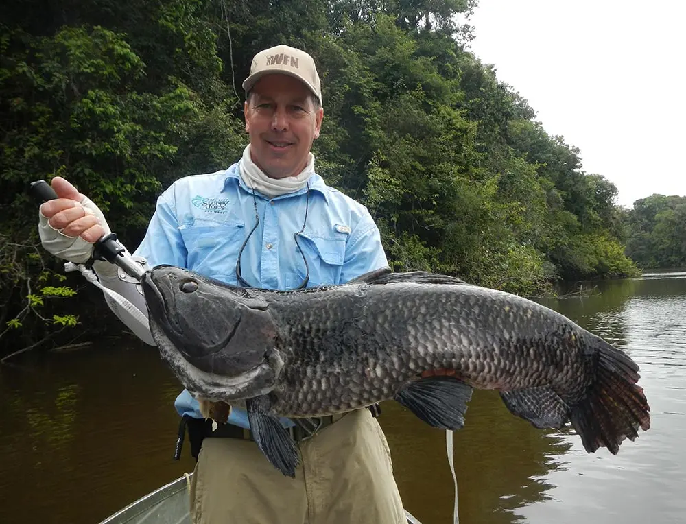 The oversized head of a wolf fish, paired with formidable teeth, and jet black eyes.