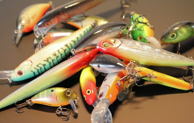 ICAST Baits image