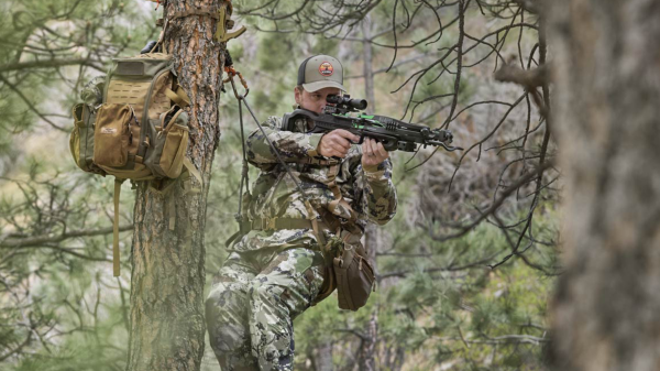 Hunter shooting CenterPoint Archery Crossbow from tree saddle