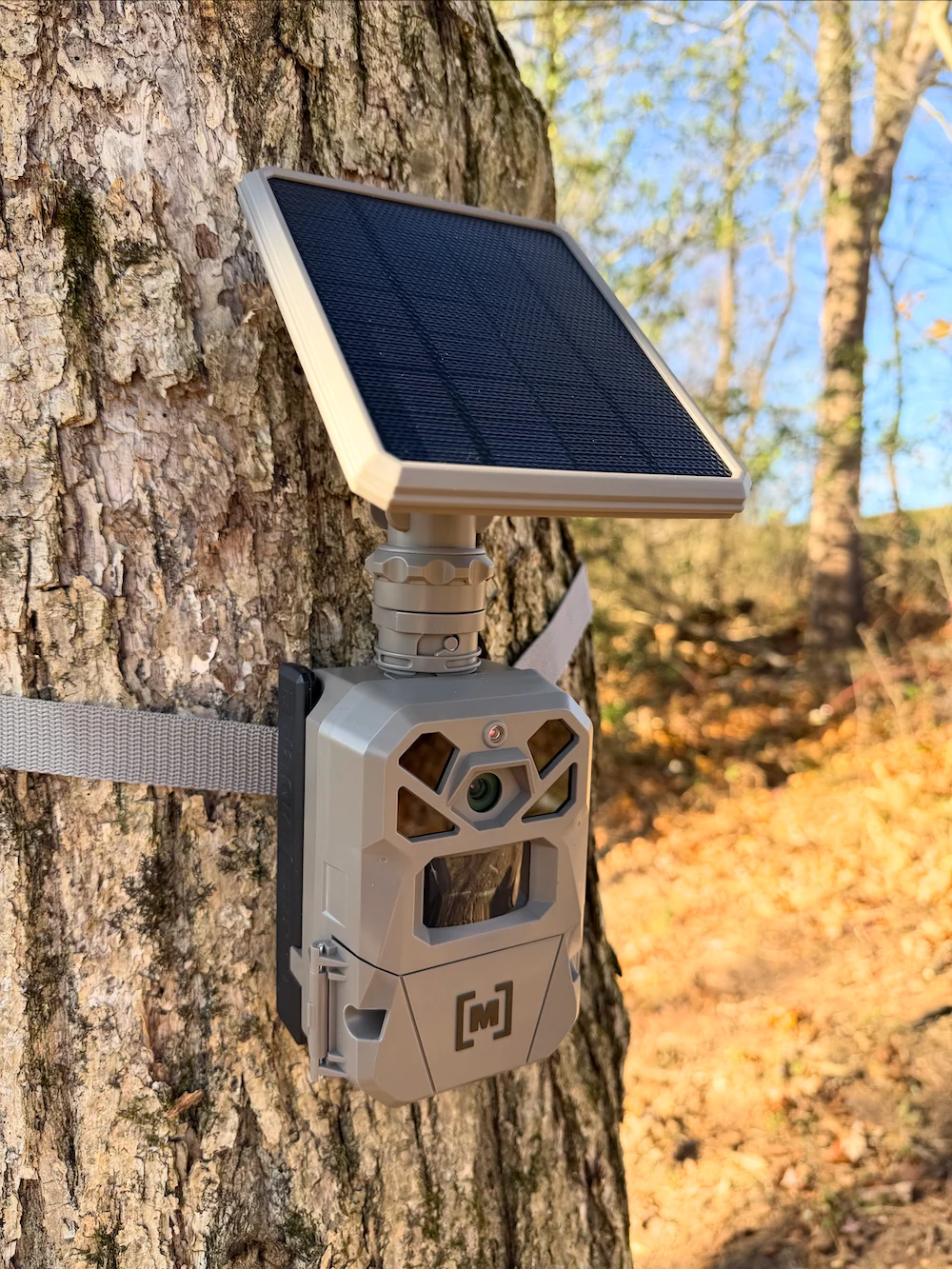Moultrie Edge Solar Trail Camera mounted on tree during testing