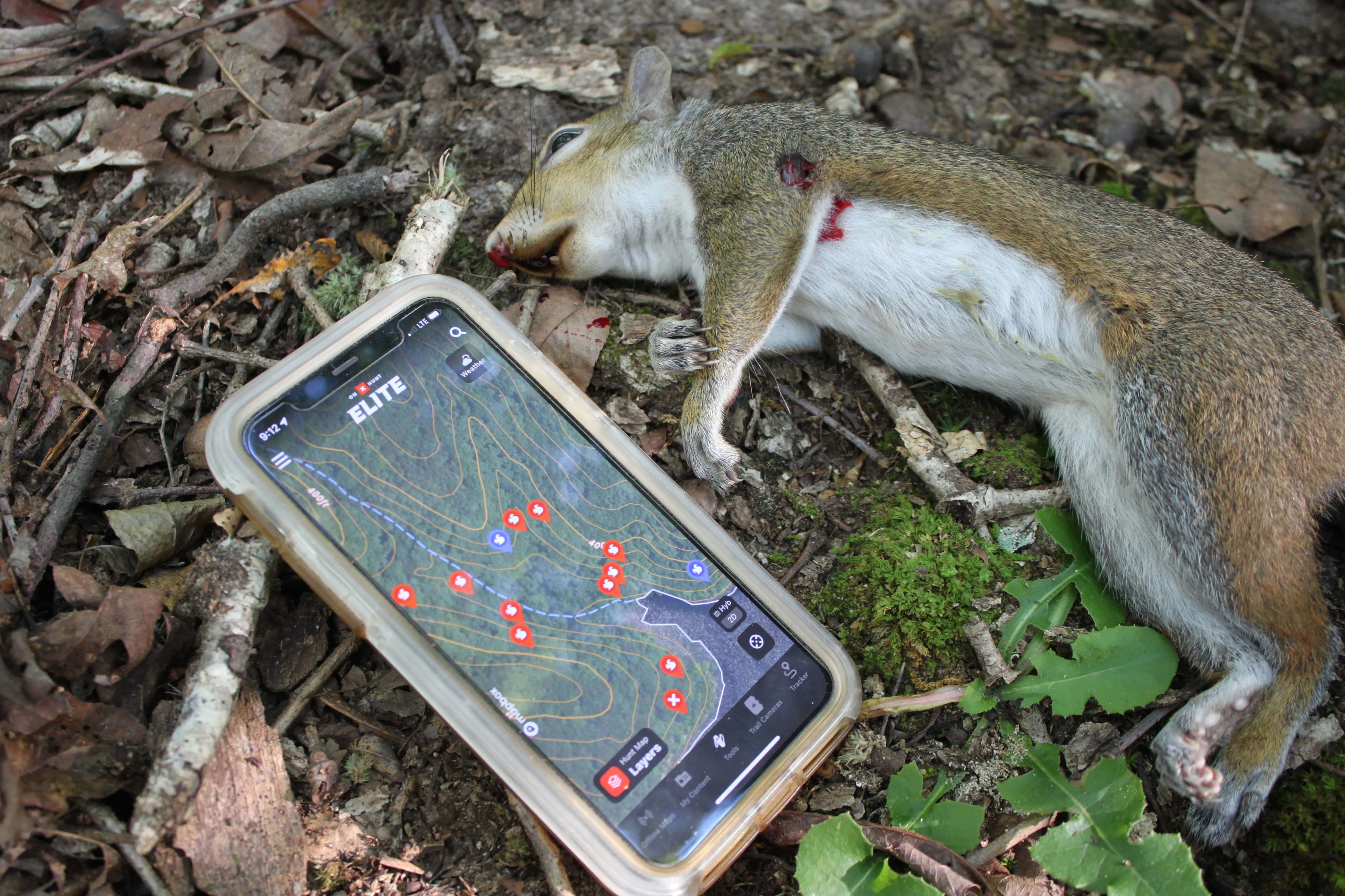 A dead squirrel next to a phone with hunting spots marked on onX