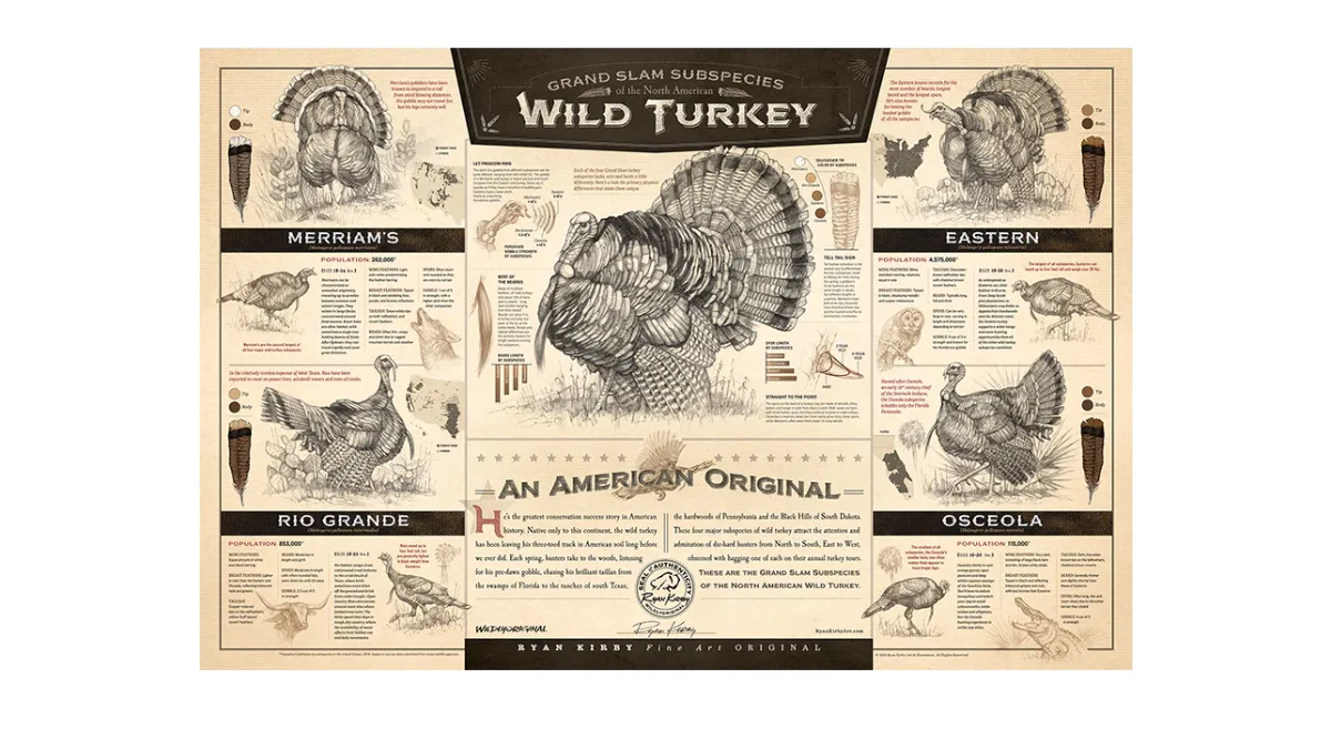 Ryan Kirby Wild Turkey Print