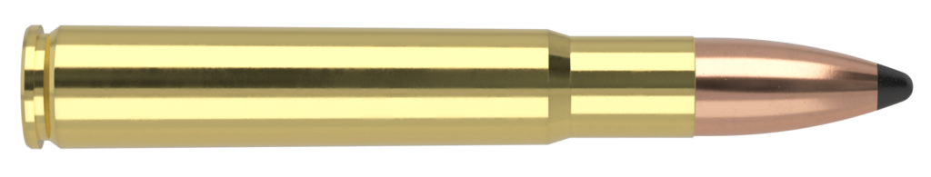 nosler 35 whelen 250 grain partition