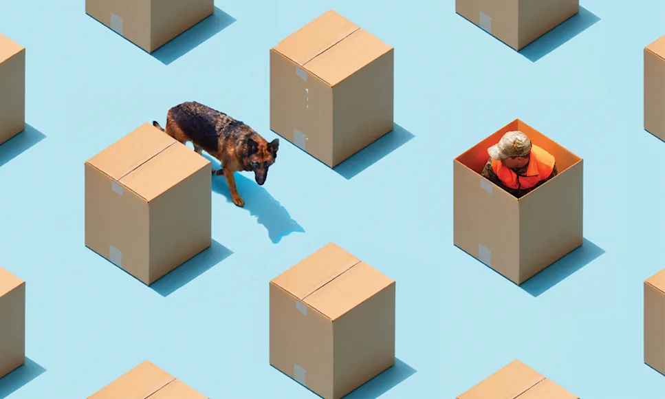 Rows of boxes, one with a hunter in it, and a dog looking for him.