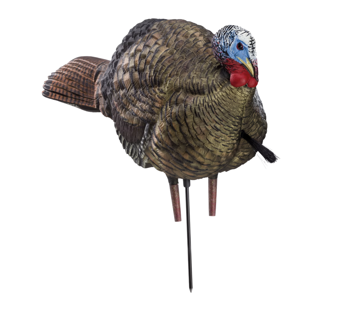 Avian-X LCD 1/2 Strut Jake Turkey Decoy